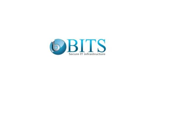 Bits Secure IT Infrastructure LLC